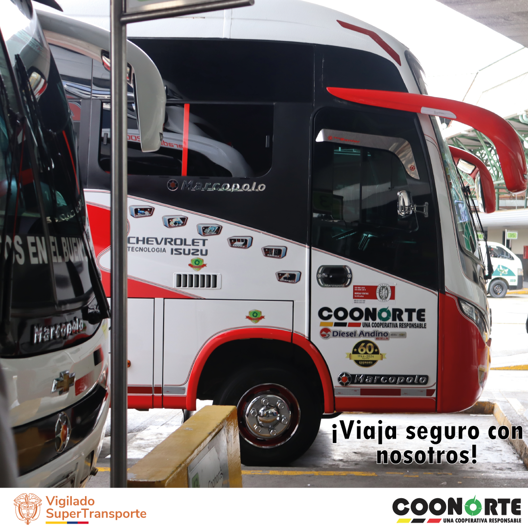 Imagen del Carrusel
